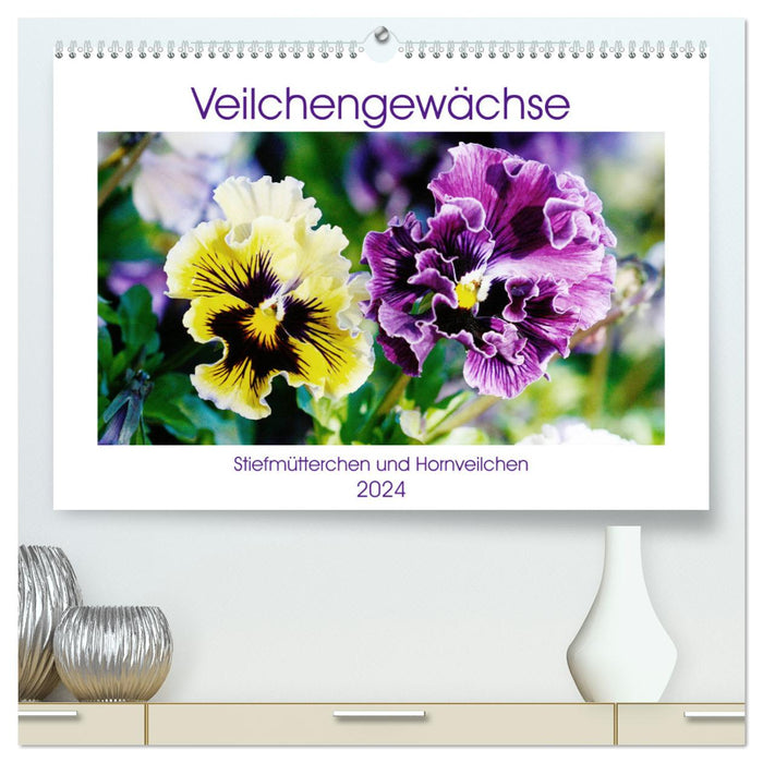 Veilchengewächse - Stiefmütterchen und Hornveilchen (CALVENDO Premium Wandkalender 2024)
