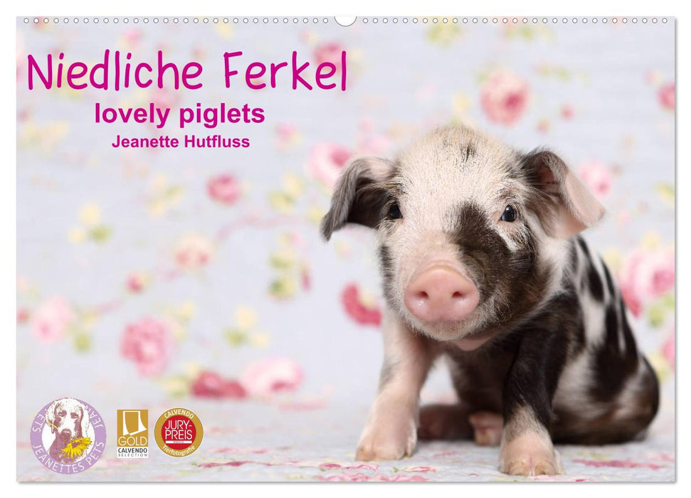 Cute piglets lovely piglets 2024 (CALVENDO wall calendar 2024) 