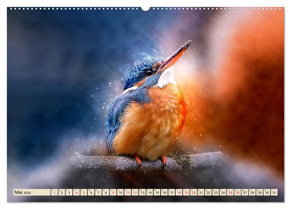 Beautiful kingfisher (CALVENDO wall calendar 2024) 
