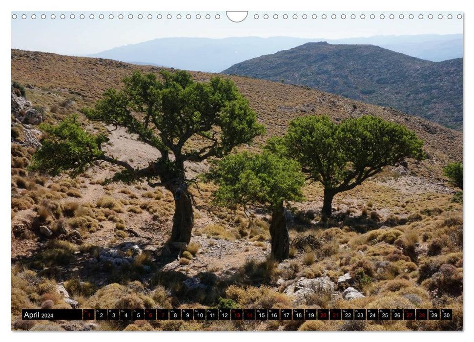 Crete's wild south (CALVENDO wall calendar 2024) 