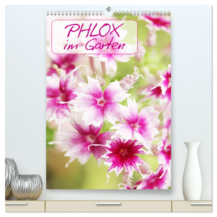 Phlox im Garten (CALVENDO Premium Wandkalender 2024)