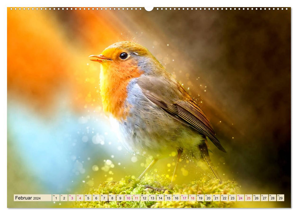 In our garden - robins (CALVENDO wall calendar 2024) 