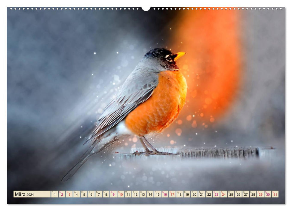 In our garden - robins (CALVENDO wall calendar 2024) 