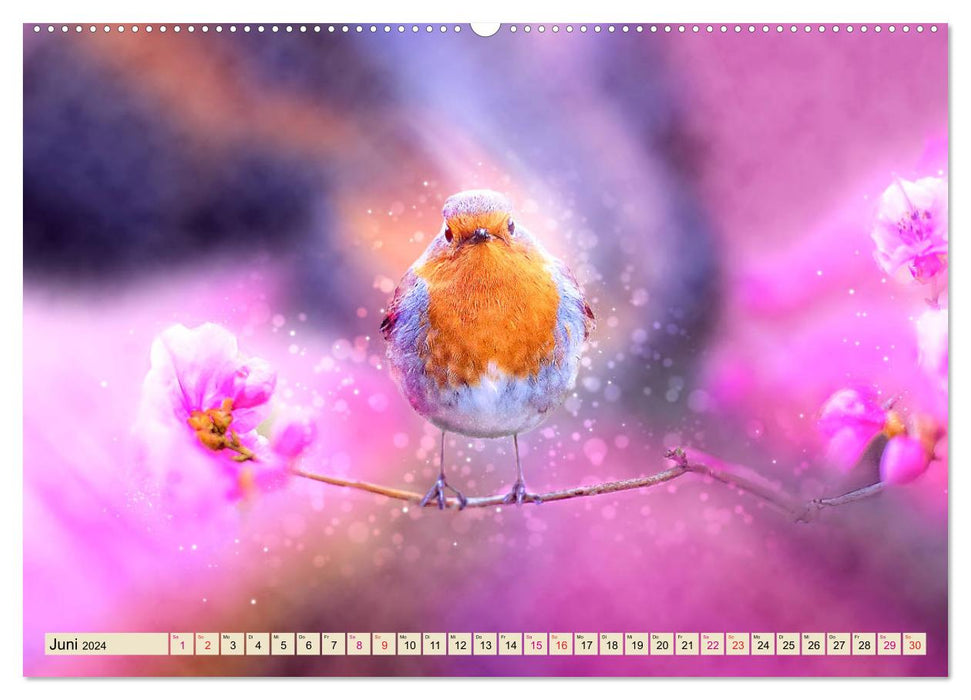 In our garden - robins (CALVENDO wall calendar 2024) 