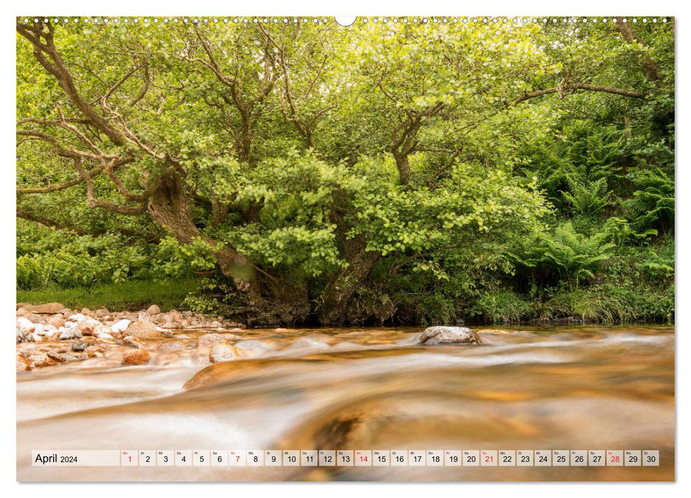 NORTHUMBERLAND 2024 (CALVENDO wall calendar 2024) 