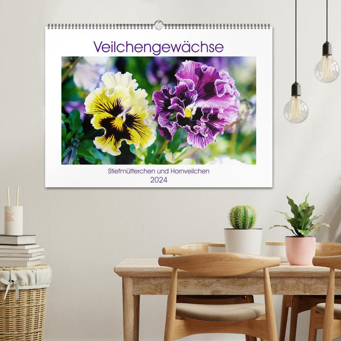 Violet family - pansies and horned violets (CALVENDO wall calendar 2024) 