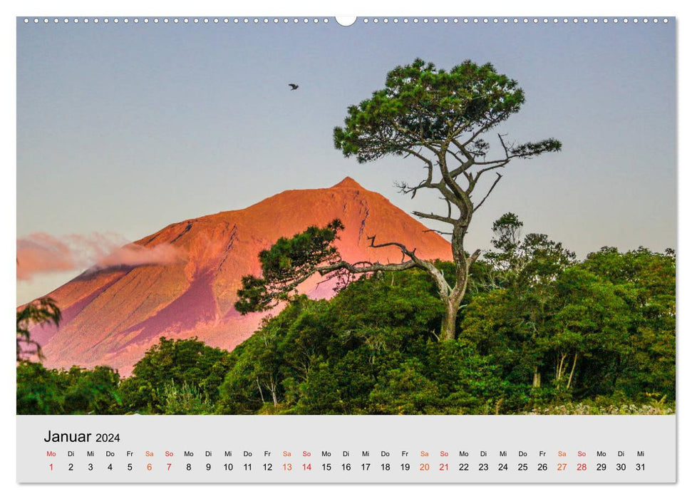 Azores: Europe's flora and fauna paradise (CALVENDO wall calendar 2024) 