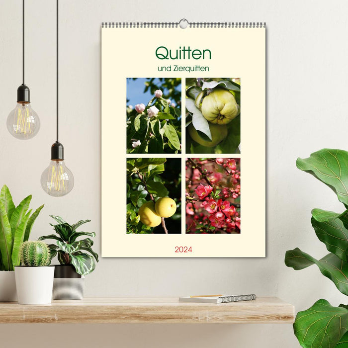 Quinces and ornamental quinces (CALVENDO wall calendar 2024) 