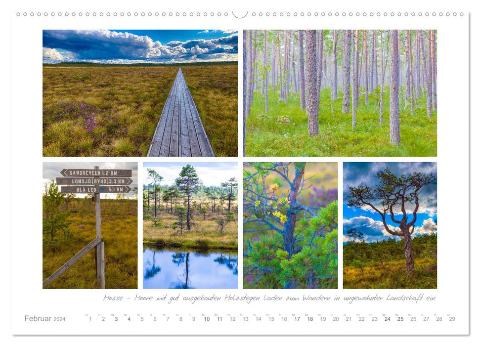 Longing for Sweden - moose, nature and holiday dreams (CALVENDO Premium Wall Calendar 2024) 