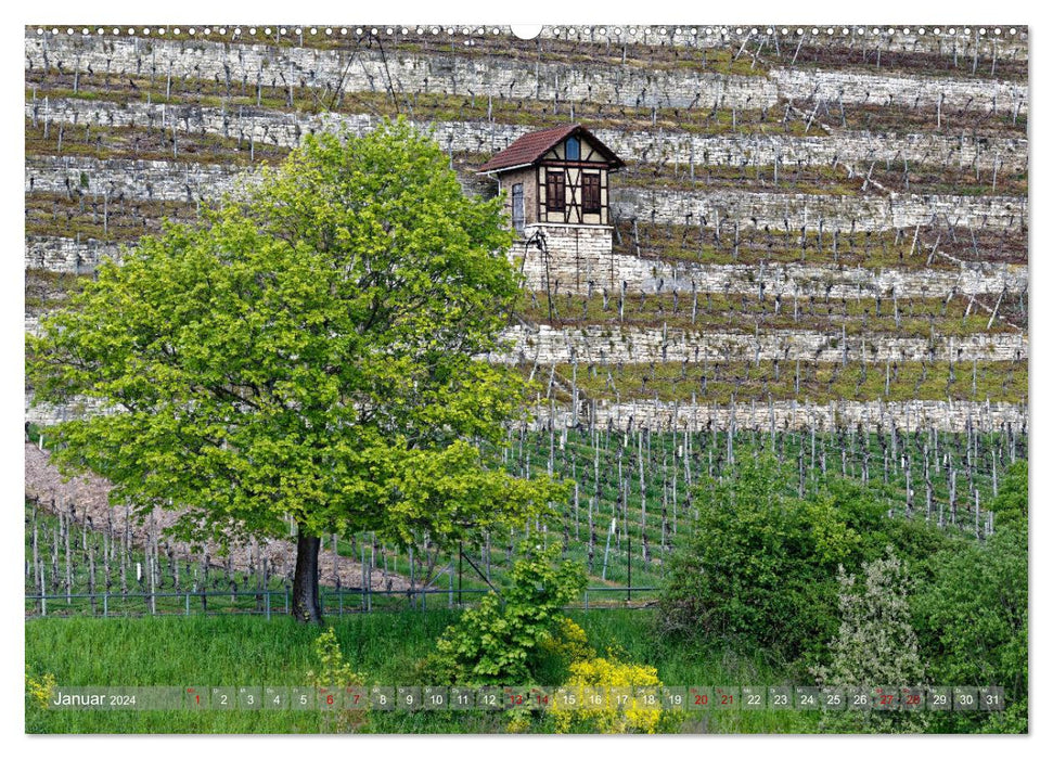 Vineyard cottage - shelter and tool house for the wine gardener (CALVENDO Premium Wall Calendar 2024) 