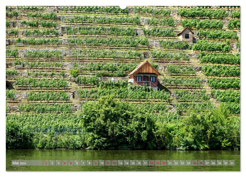 Vineyard cottage - shelter and tool house for the wine gardener (CALVENDO Premium Wall Calendar 2024) 