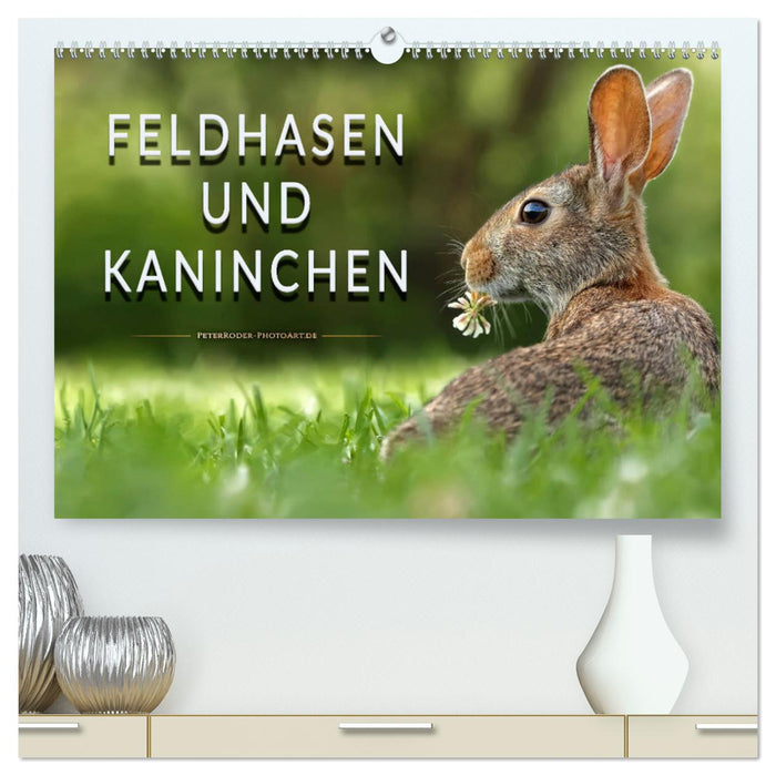 Feldhasen und Kaninchen (CALVENDO Premium Wandkalender 2024)