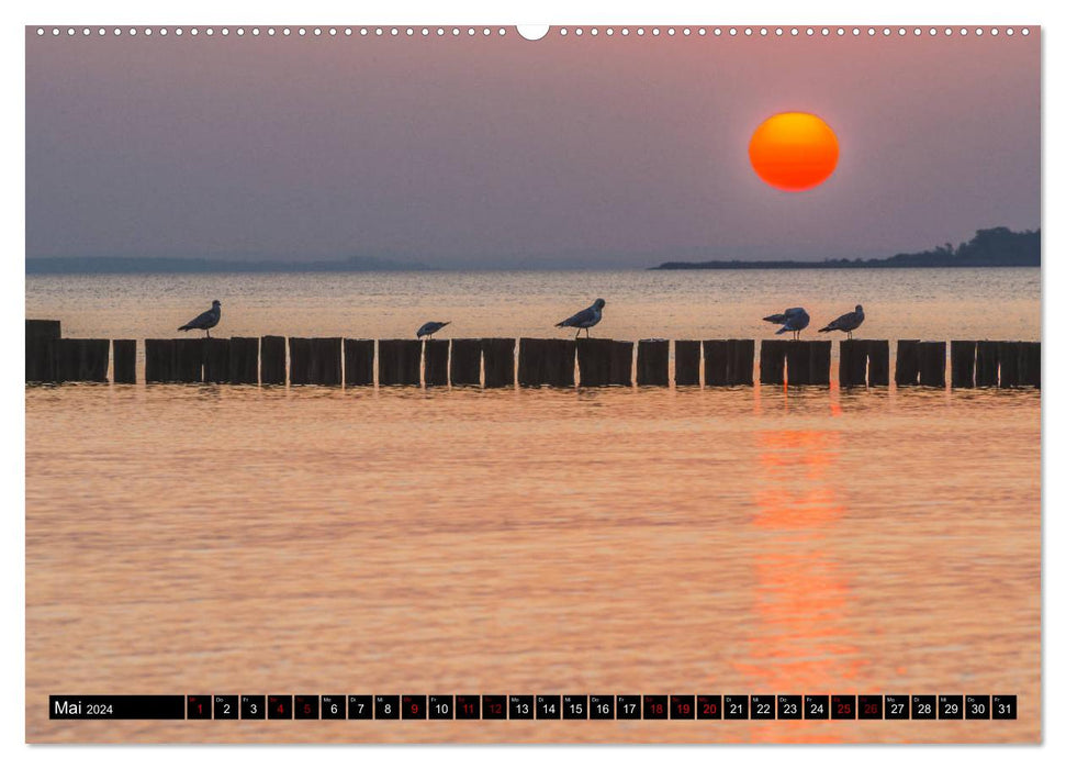 Baltic Sea - Boltenhagen (CALVENDO wall calendar 2024) 