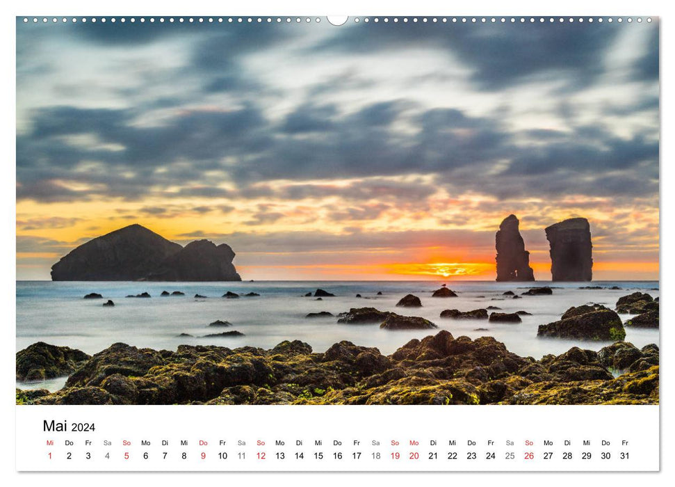 Wildes Europa (CALVENDO Premium Wandkalender 2024)