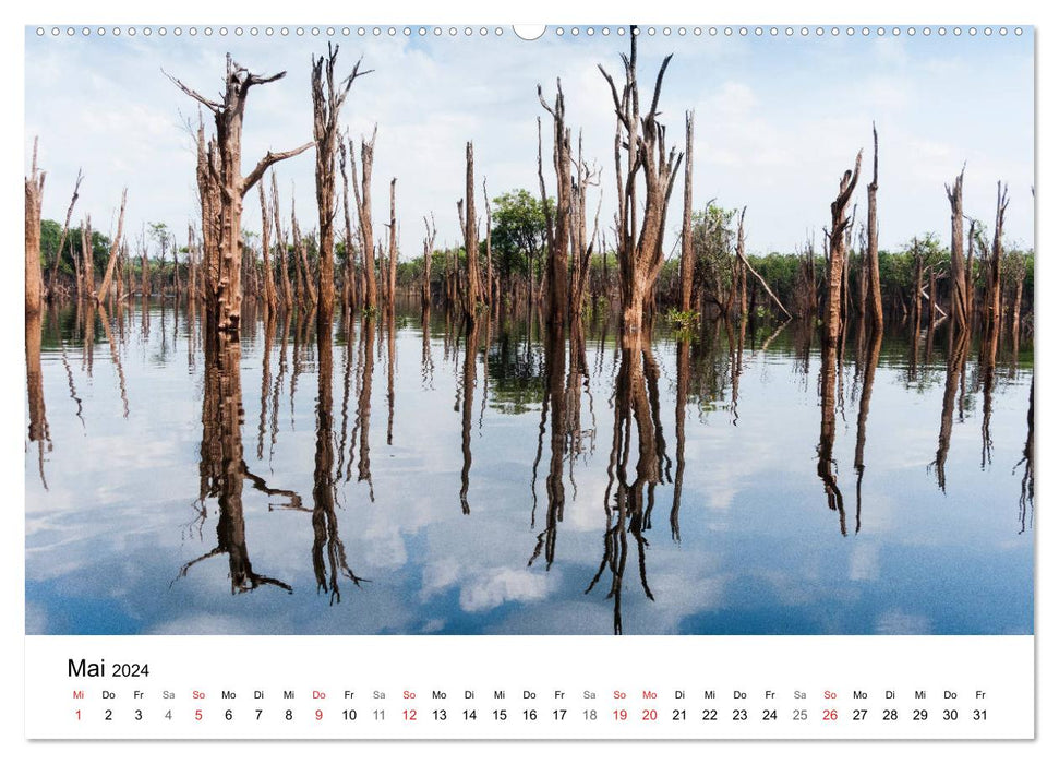 Myth of the Amazon - Natural Paradise of Brazil (CALVENDO Premium Wall Calendar 2024) 