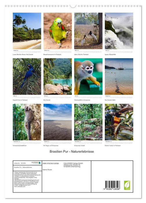 Brasilien pur - Naturerlebnisse (CALVENDO Premium Wandkalender 2024)