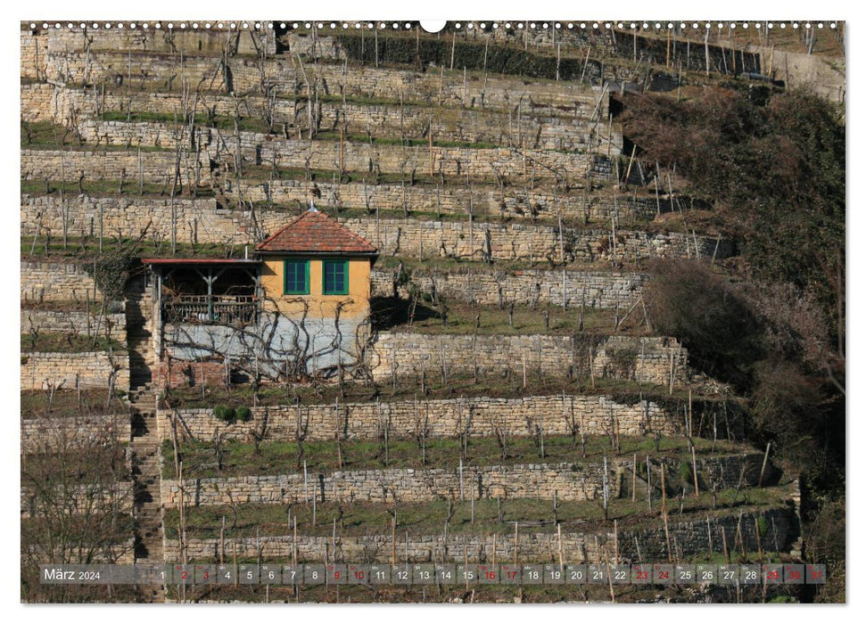 Vineyard cottage - shelter and tool house for the wine gardener (CALVENDO wall calendar 2024) 