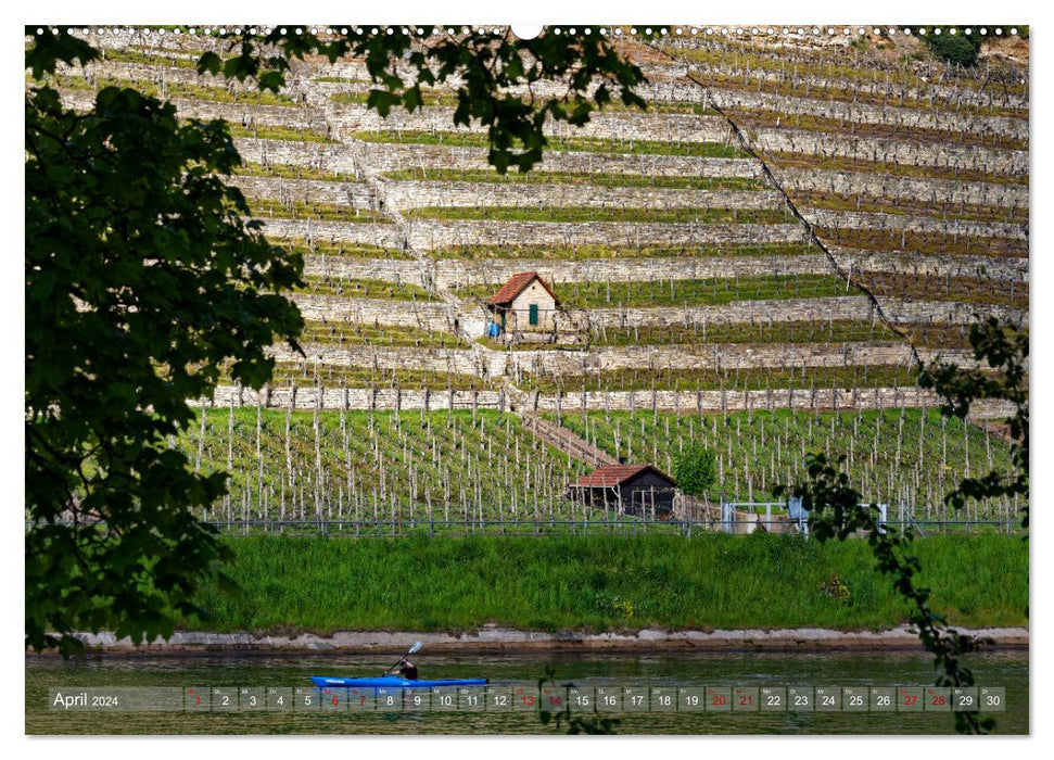 Vineyard cottage - shelter and tool house for the wine gardener (CALVENDO wall calendar 2024) 