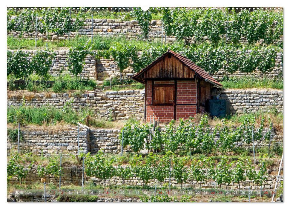 Vineyard cottage - shelter and tool house for the wine gardener (CALVENDO wall calendar 2024) 