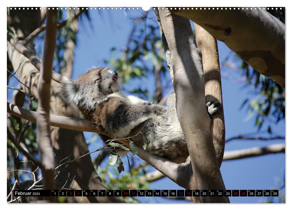 Western Australia (CALVENDO wall calendar 2024) 