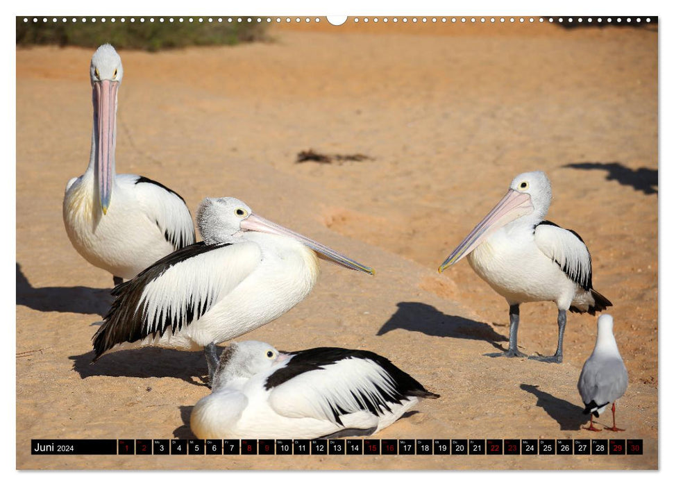 Western Australia (CALVENDO wall calendar 2024) 