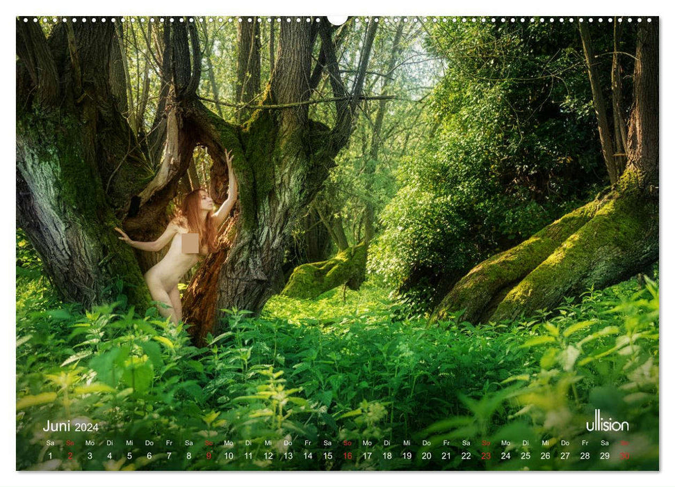 Lieblingsbäume - eins mit der Natur (CALVENDO Premium Wandkalender 2024)