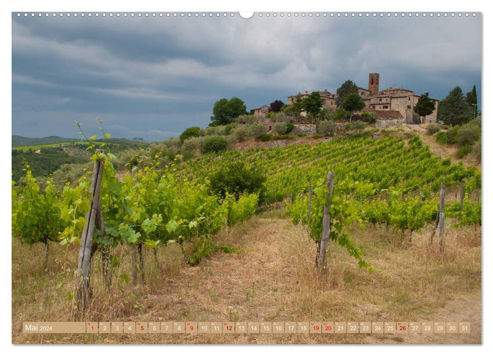 Wine - Landscapes (CALVENDO wall calendar 2024) 