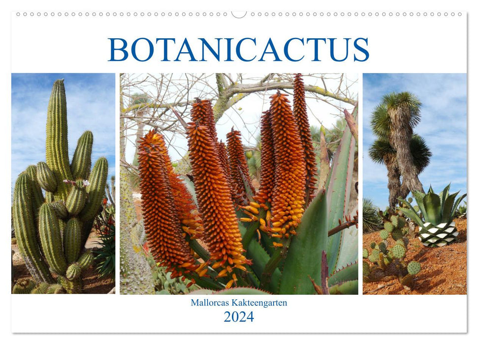 BOTANICACTUS Mallorcas Kakteengarten (CALVENDO Wandkalender 2024)