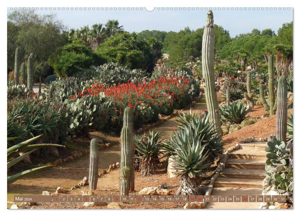 BOTANICACTUS Mallorca's cactus garden (CALVENDO wall calendar 2024) 