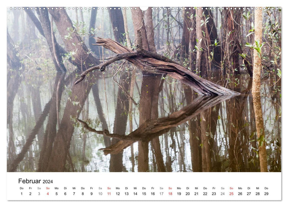 Myth of the Amazon - Natural Paradise of Brazil (CALVENDO Wall Calendar 2024) 