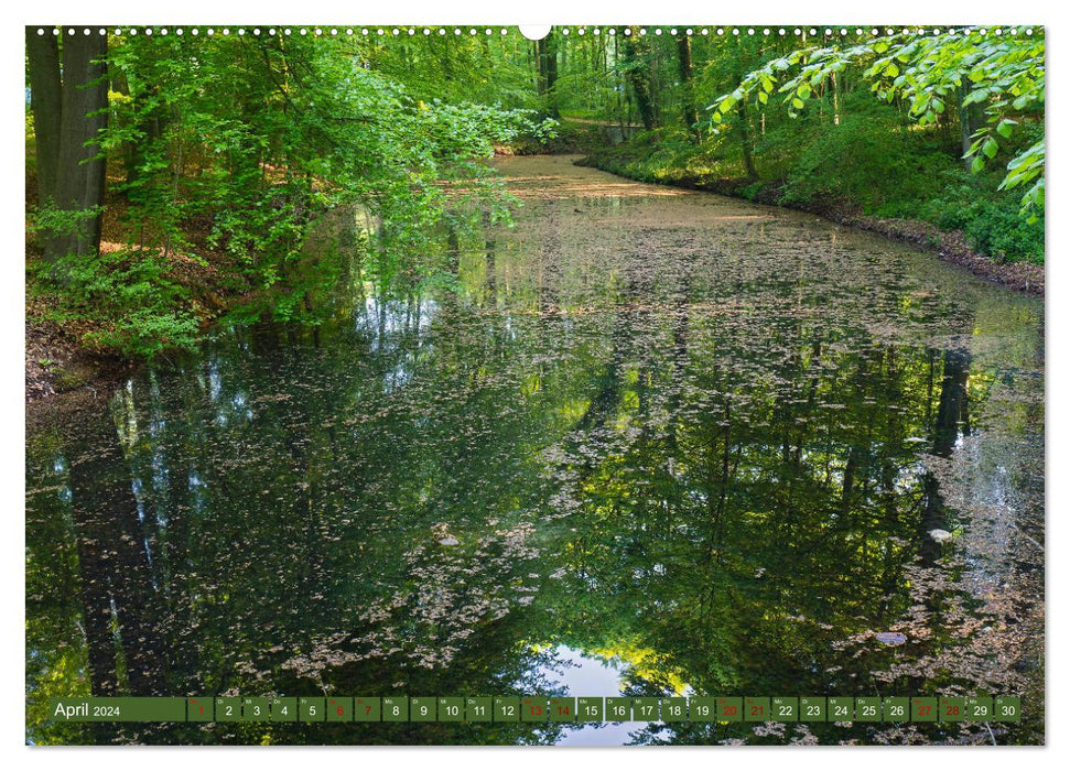 Das Steinfurter Bagno im Wandel der Jahreszeiten (CALVENDO Wandkalender 2024)