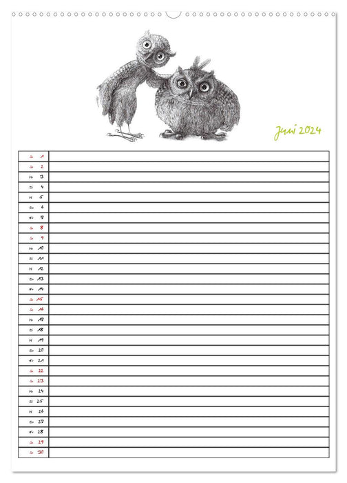 Animalonic Owls (CALVENDO Premium Wall Calendar 2024) 