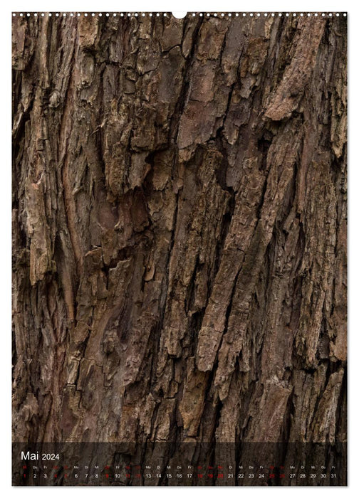 TREES OF THE EARTH - THE FANTASTIC WORLD OF BARK (CALVENDO Premium Wall Calendar 2024) 