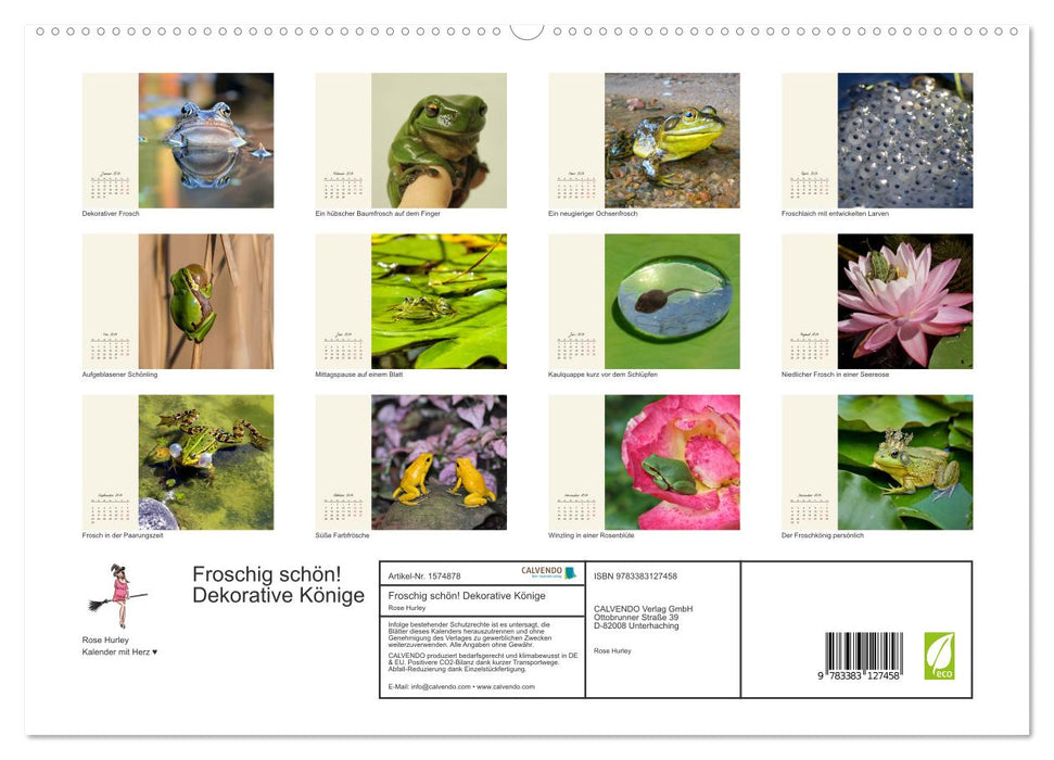 Froggy beautiful! Decorative kings of pools and ponds (CALVENDO Premium Wall Calendar 2024) 