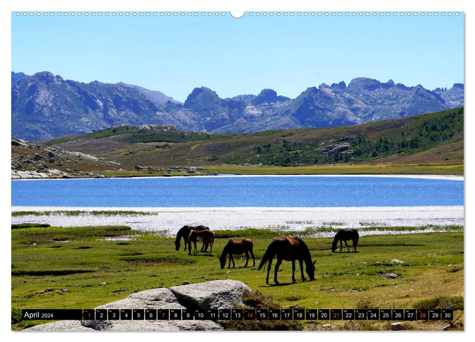 Corsica's wild north. GR20 Impressions (CALVENDO Premium Wall Calendar 2024) 