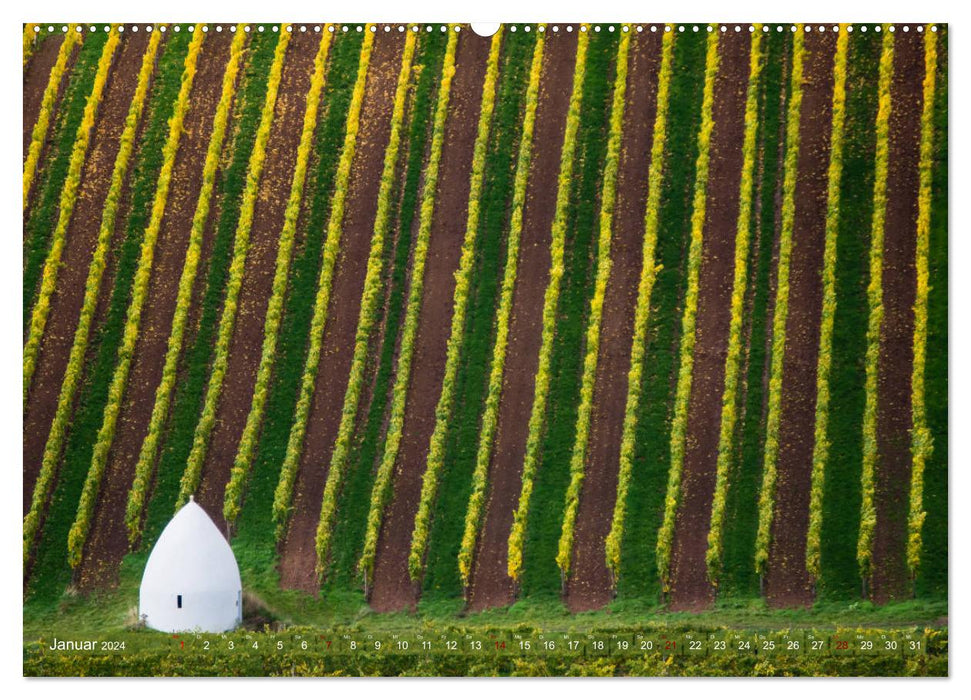 Wein - Landschaften (CALVENDO Premium Wandkalender 2024)