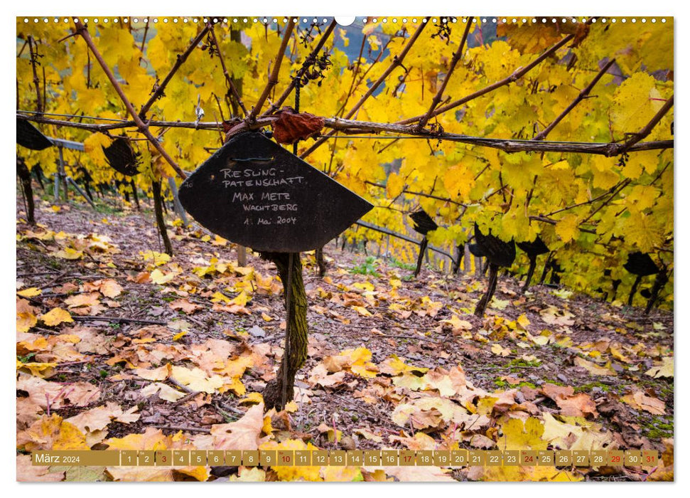 Wein - Landschaften (CALVENDO Premium Wandkalender 2024)