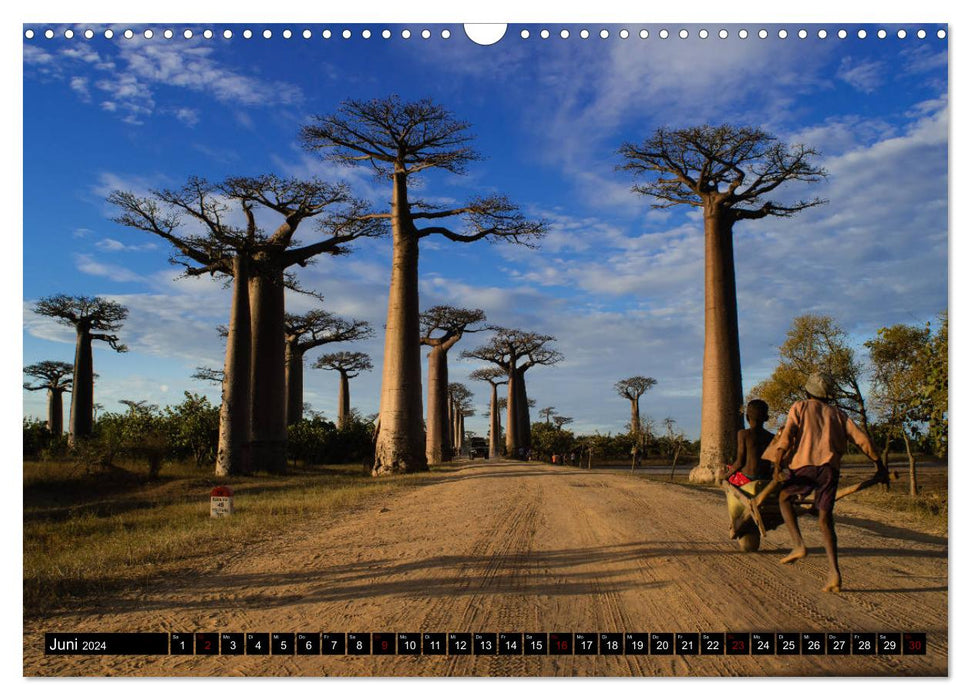 Madagaskar - Impressionen von Rolf Dietz (CALVENDO Wandkalender 2024)