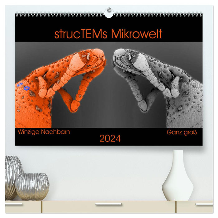 strucTEM's microworld - tiny neighbors really big (CALVENDO Premium Wall Calendar 2024) 