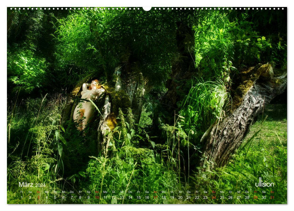 Lieblingsbäume - eins mit der Natur (CALVENDO Wandkalender 2024)