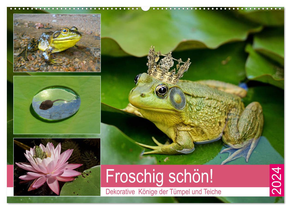 Froschig schön! Dekorative Könige der Tümpel und Teiche (CALVENDO Wandkalender 2024)