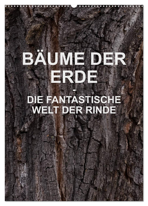 TREES OF THE EARTH - THE FANTASTIC WORLD OF BARK (CALVENDO wall calendar 2024) 