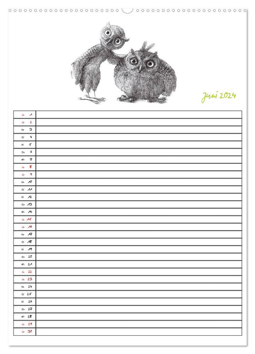 Animalonic Owls (CALVENDO Wall Calendar 2024) 