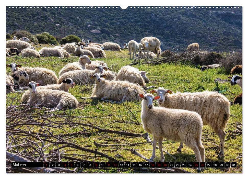 Eastern Crete - Between Sitia and Ierapetra (CALVENDO Premium Wall Calendar 2024) 