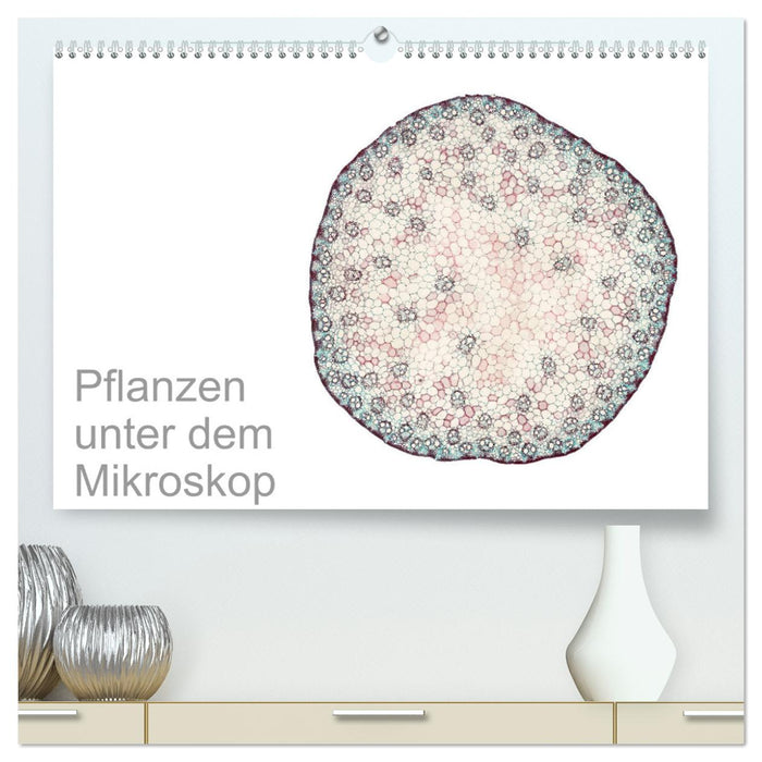 Les plantes au microscope (Calendrier mural CALVENDO Premium 2024) 