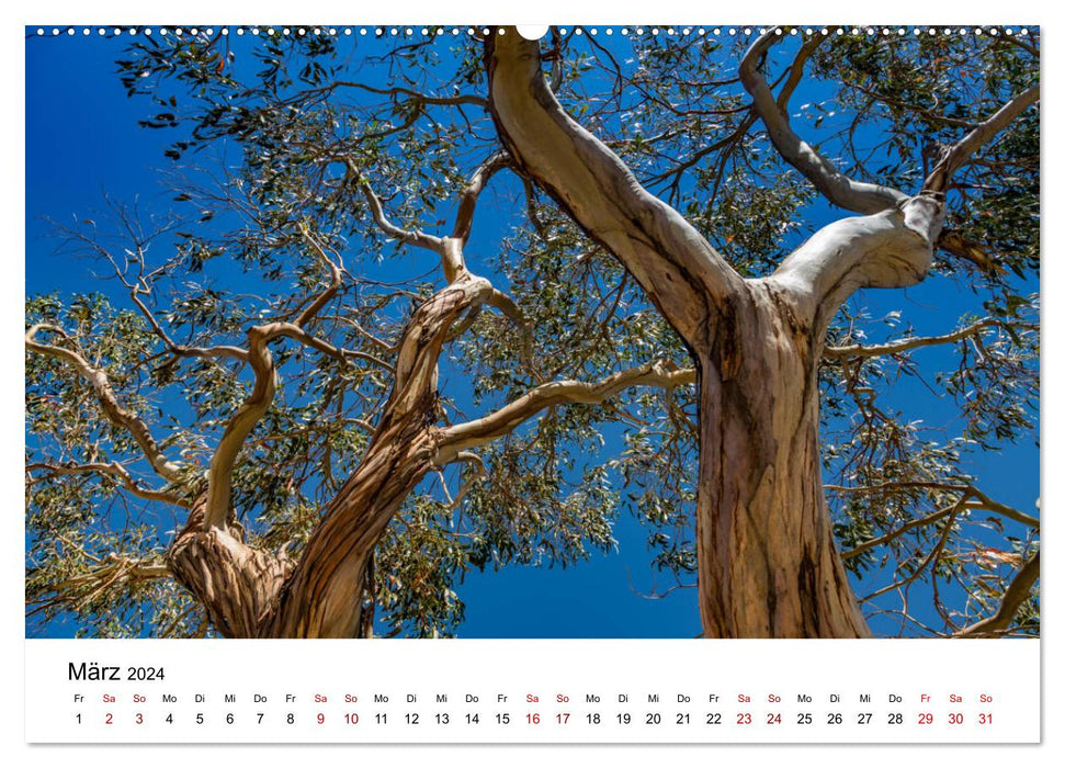 Corse - La Belle en Méditerranée (Calendrier mural CALVENDO 2024) 