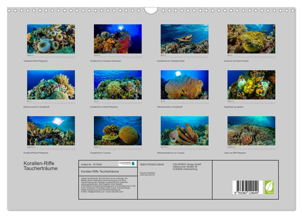 Korallen-Riffe Taucherträume (CALVENDO Wandkalender 2024)