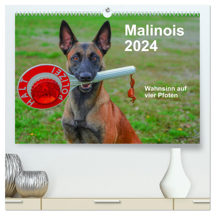 Malinois - madness on four paws (CALVENDO Premium Wall Calendar 2024) 