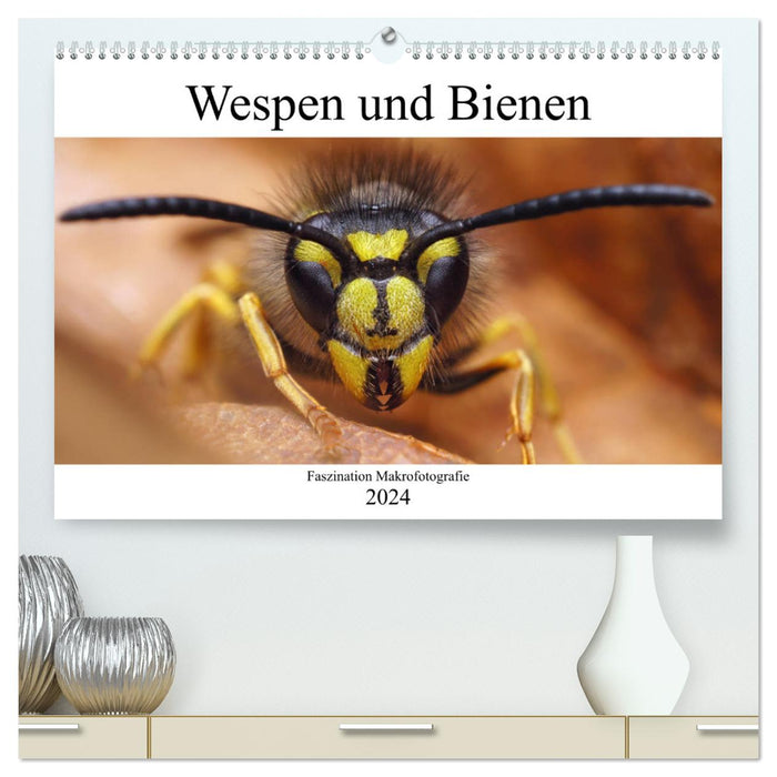 Fascination with macro photography: wasps and bees (CALVENDO Premium Wall Calendar 2024) 