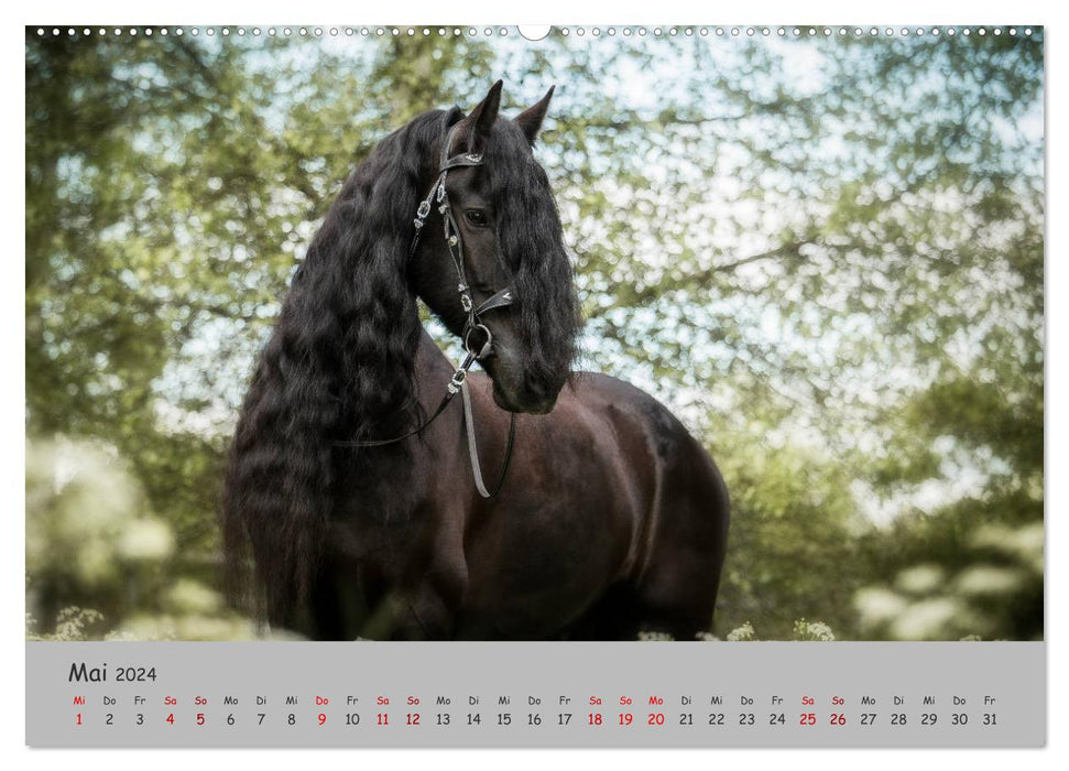 Mirror of your soul (CALVENDO wall calendar 2024) 